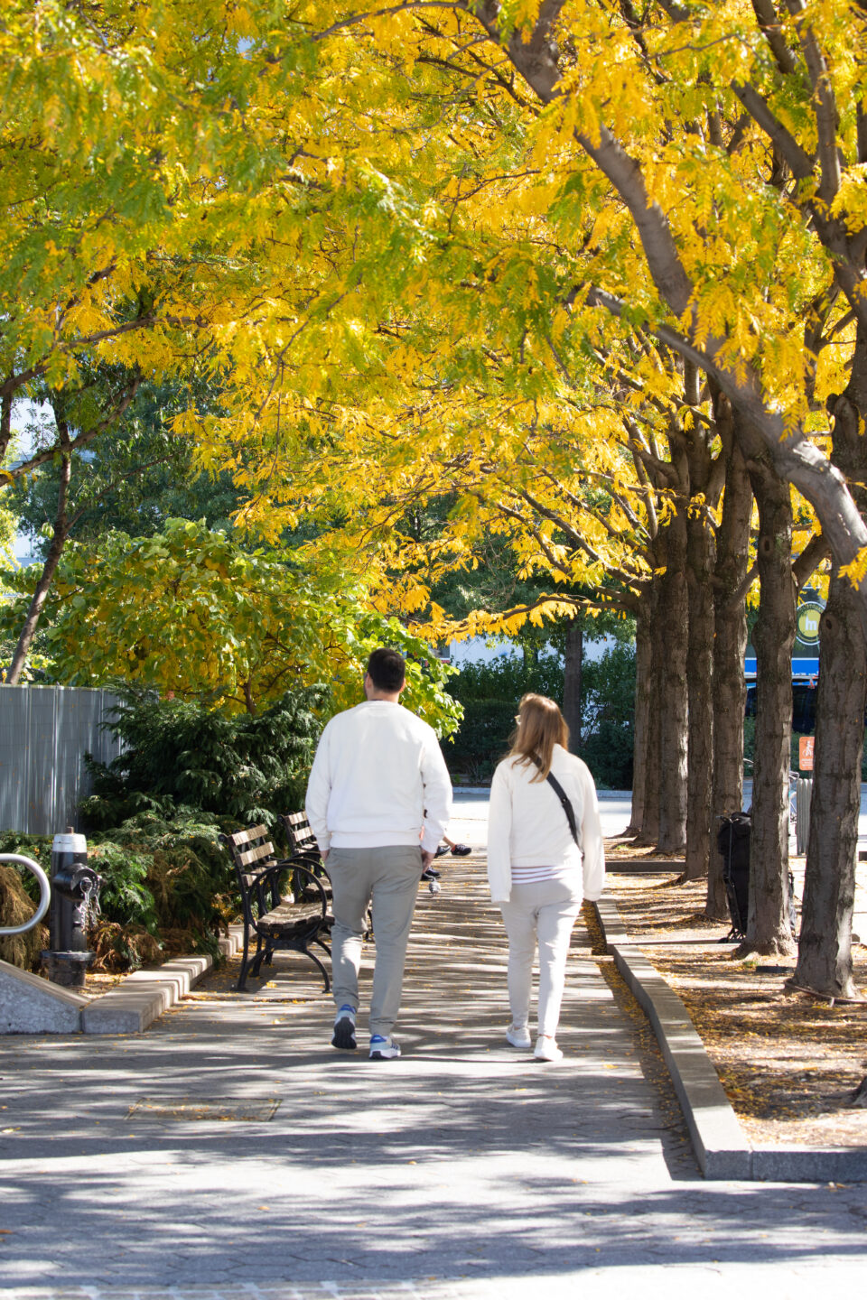 fall on Pier 84