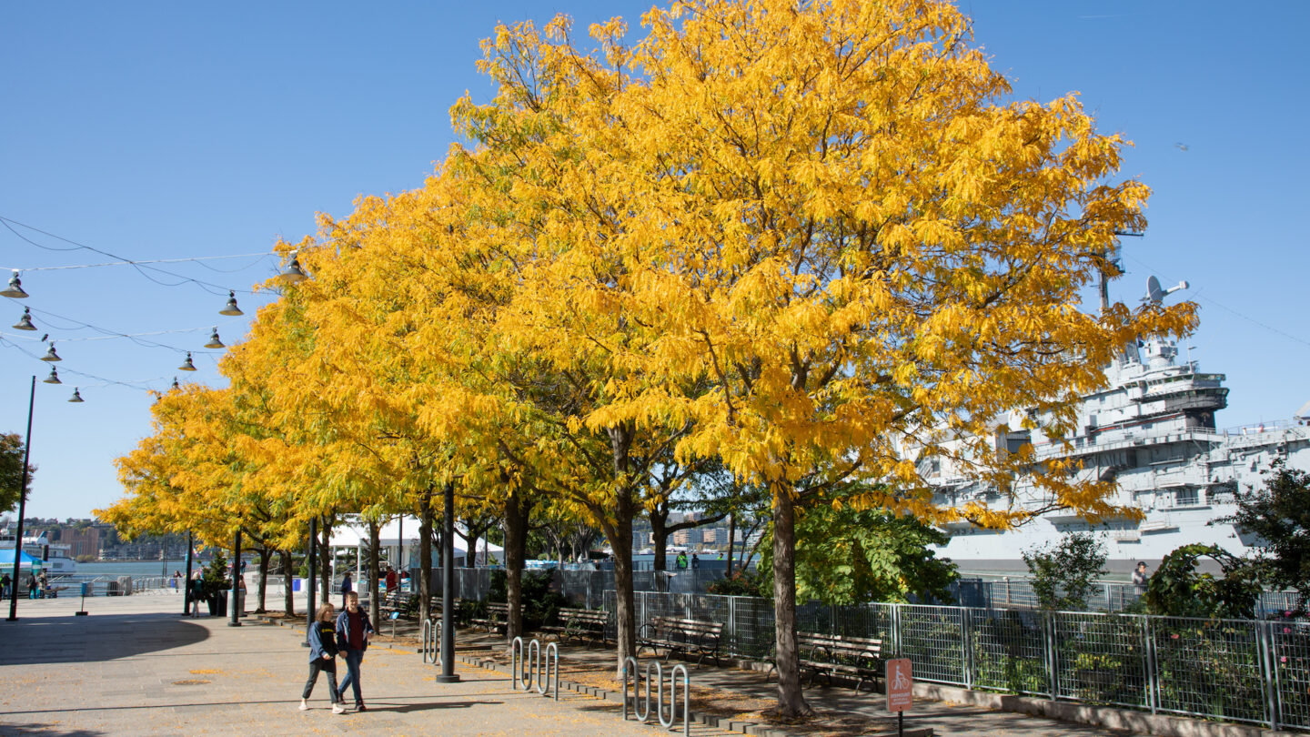 fall on Pier 84, the Intrepid in the background