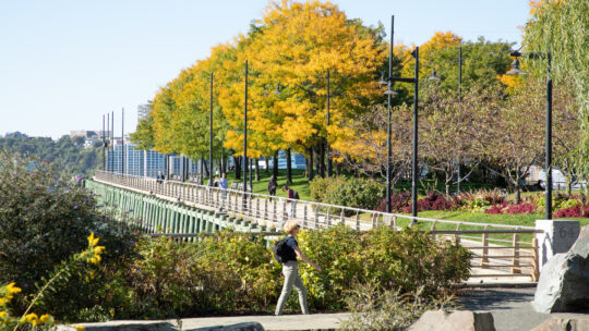 Experience Peak Fall Beauty in the Park