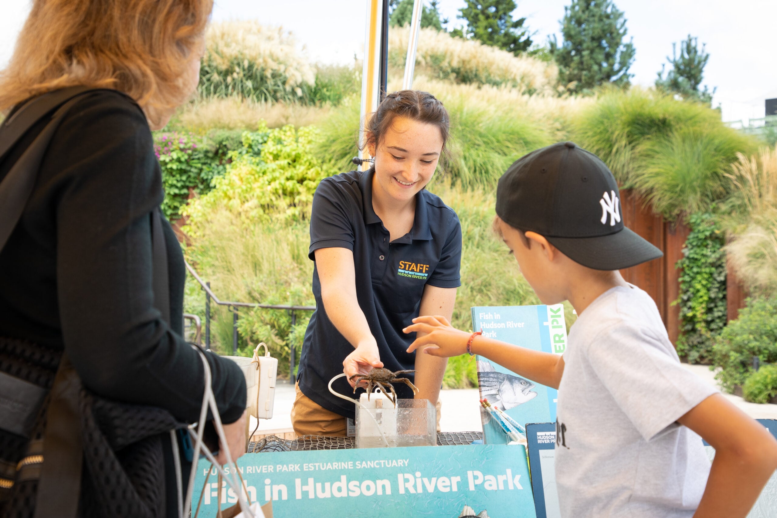 STEM at Little Island, staff interact with boy in Yankees hat