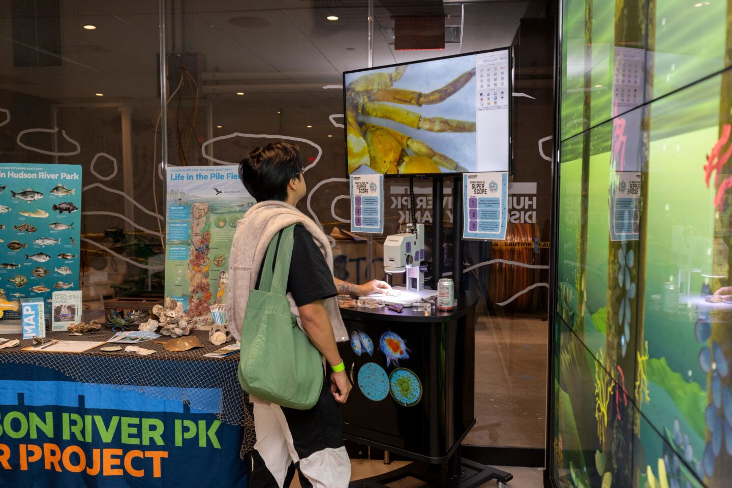 A person views a microscope slide via a display monitor at the Pier 57 Discovery Tank