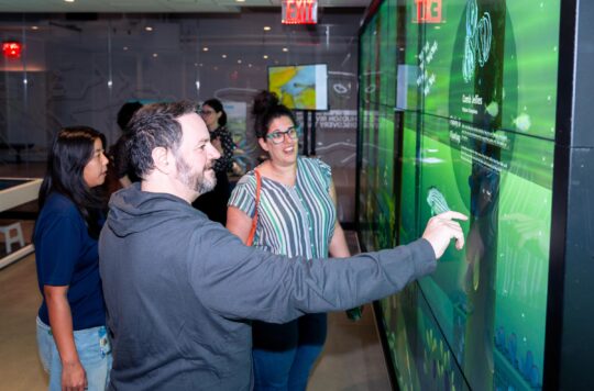 Guided Gallery
