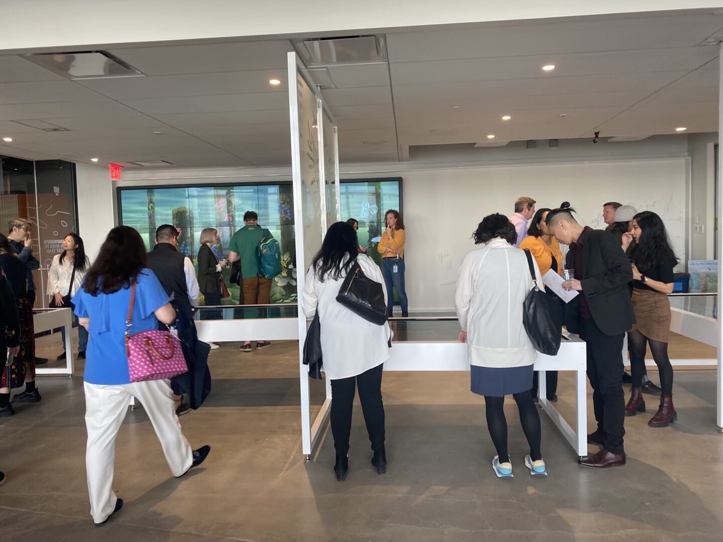 people exploring discovery tank