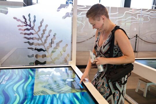 Guided Gallery