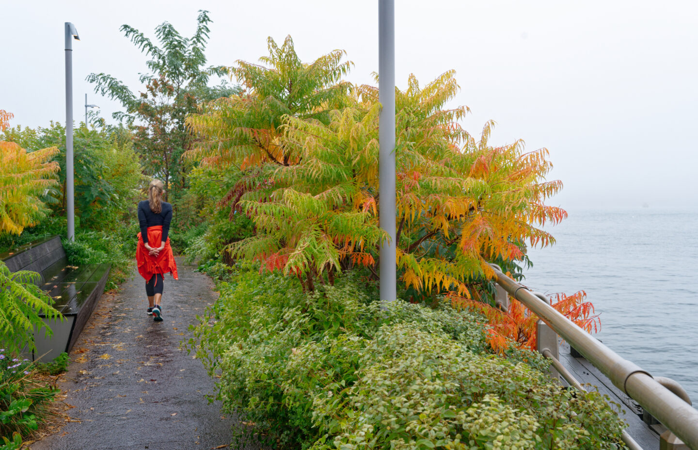 A person walking on a path surrounded by plants and trees on Pier 26.