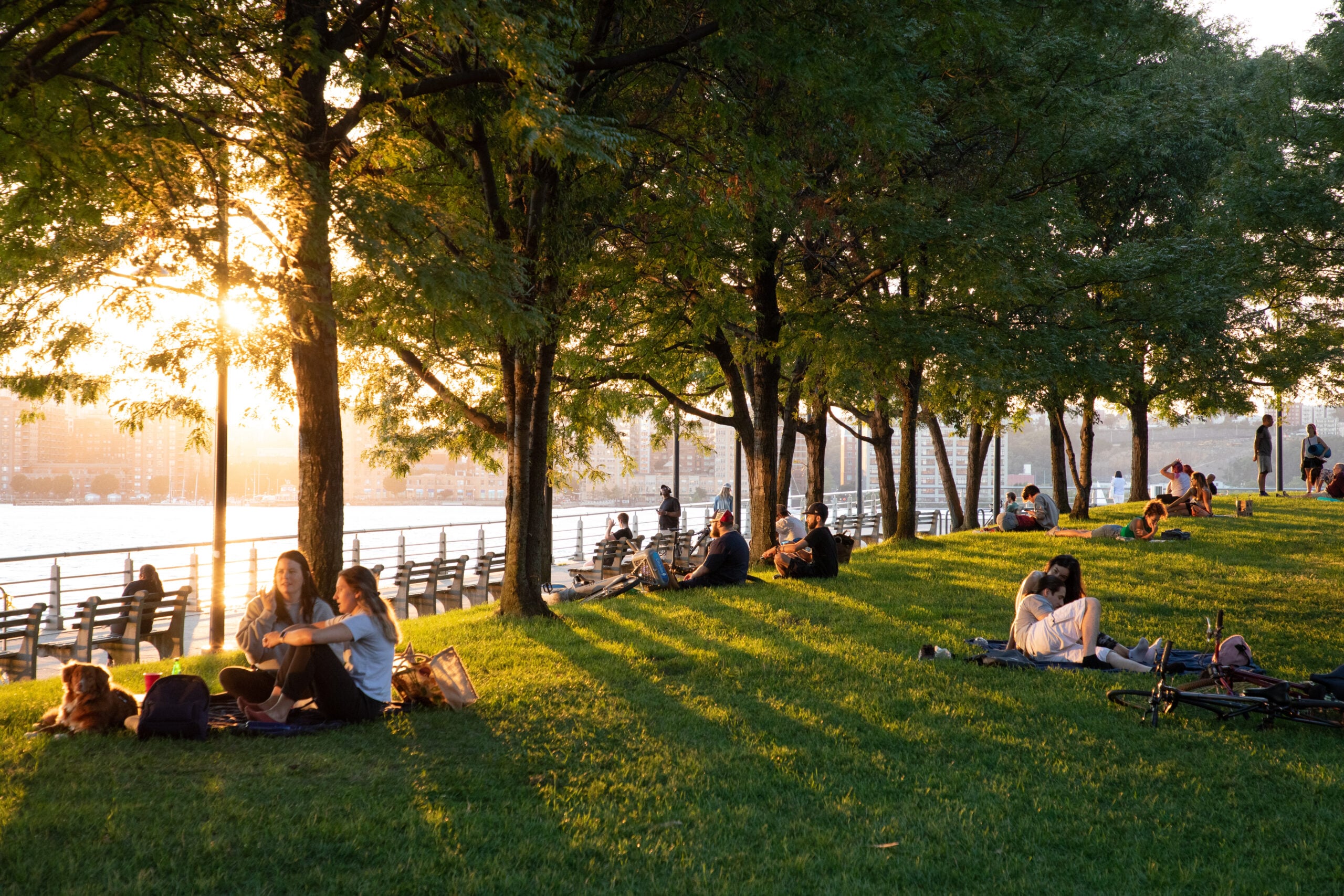 People sitting in the grass at Pier 64 at sunset