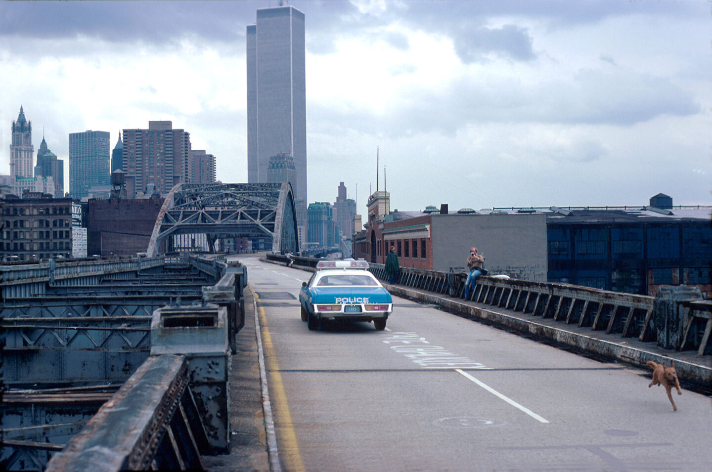 An abandoned section of the elevated West Side Highway. A police car is stationed on the roadway while a dog runs around in the other lane.