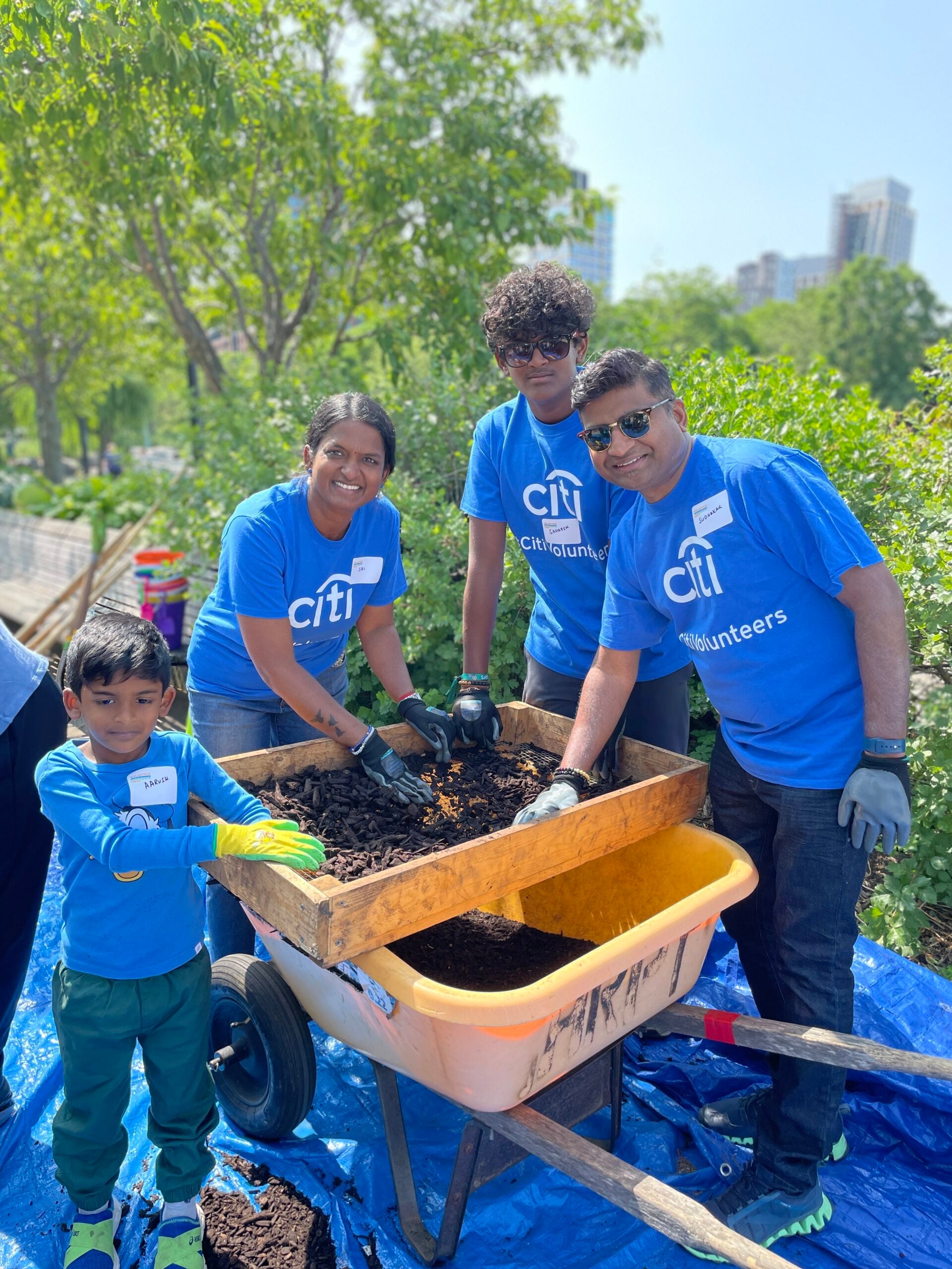 Four volunteers from Citi sifting mulch into a wheelbarrow
