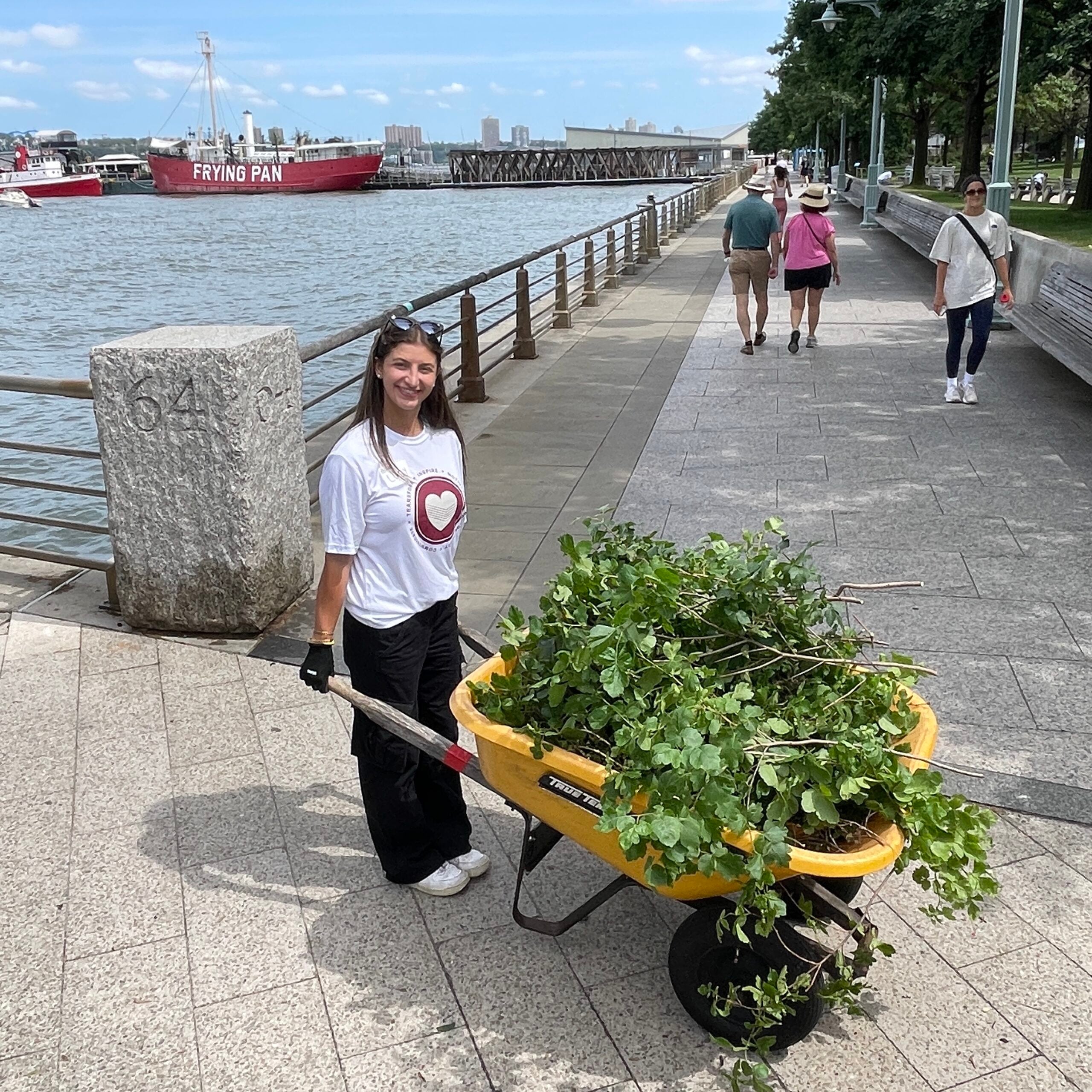 A volunteer pushing a wheelbarrow full of tree branches near Pier 64