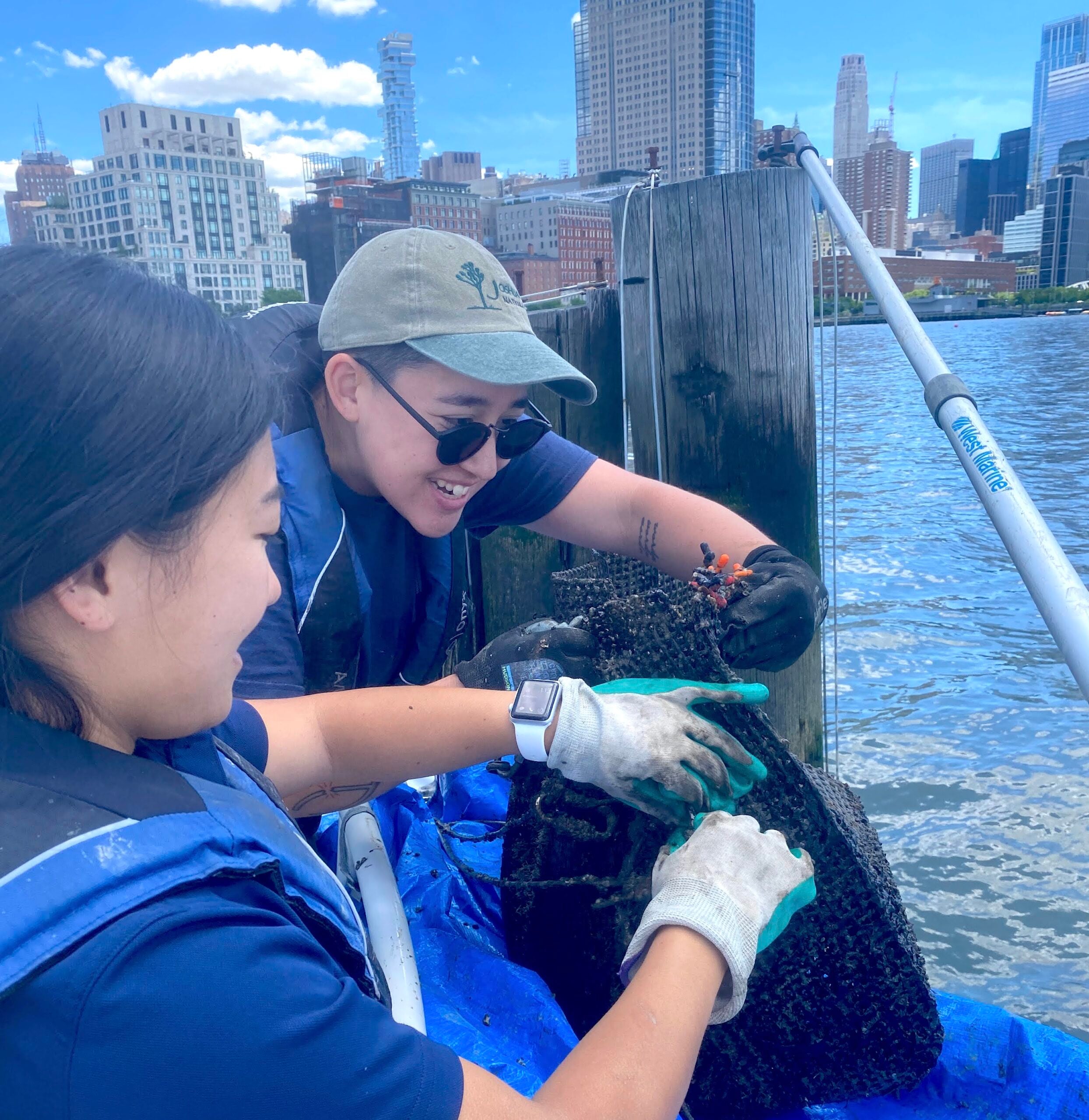 Hudson River Park River Project staffers pulling up a net from the River