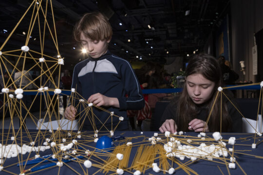 Girls in Science and Engineering Day