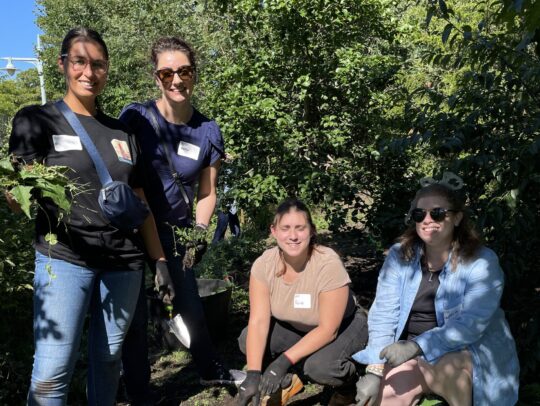 Four volunteers clearing out weeds and branches in a Park garden