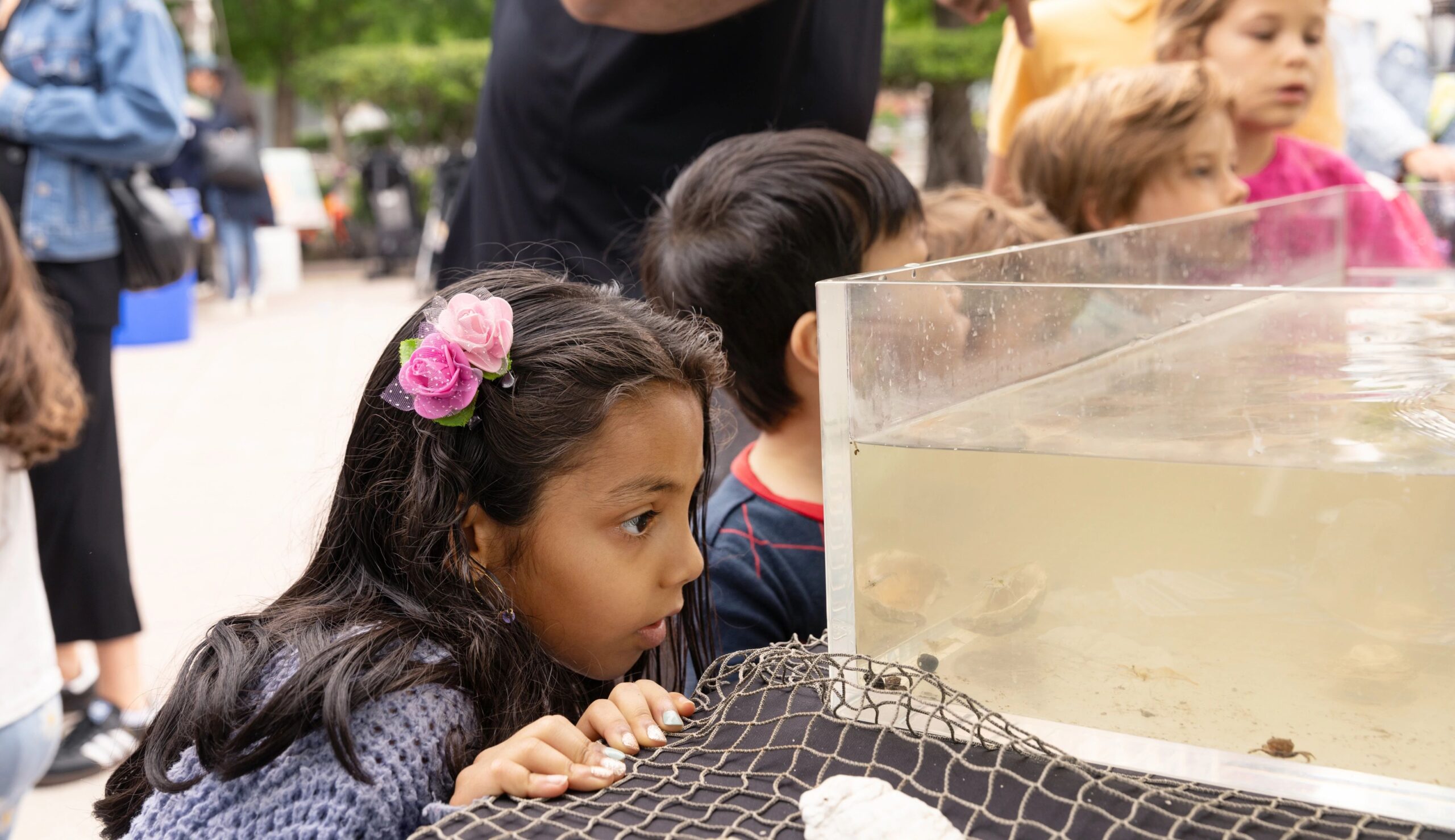 A student looks at crabs and other Hudson River wildlife in an aquarium tank