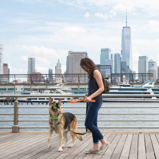 Your Pup & Your Park: A Dog Parent’s Guide to Hudson River Park 