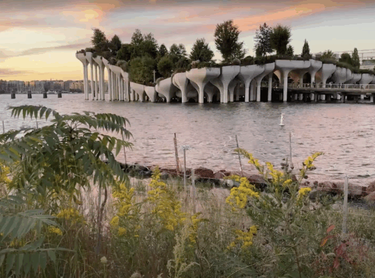 Shoreline Strolls: Jane’s Walk