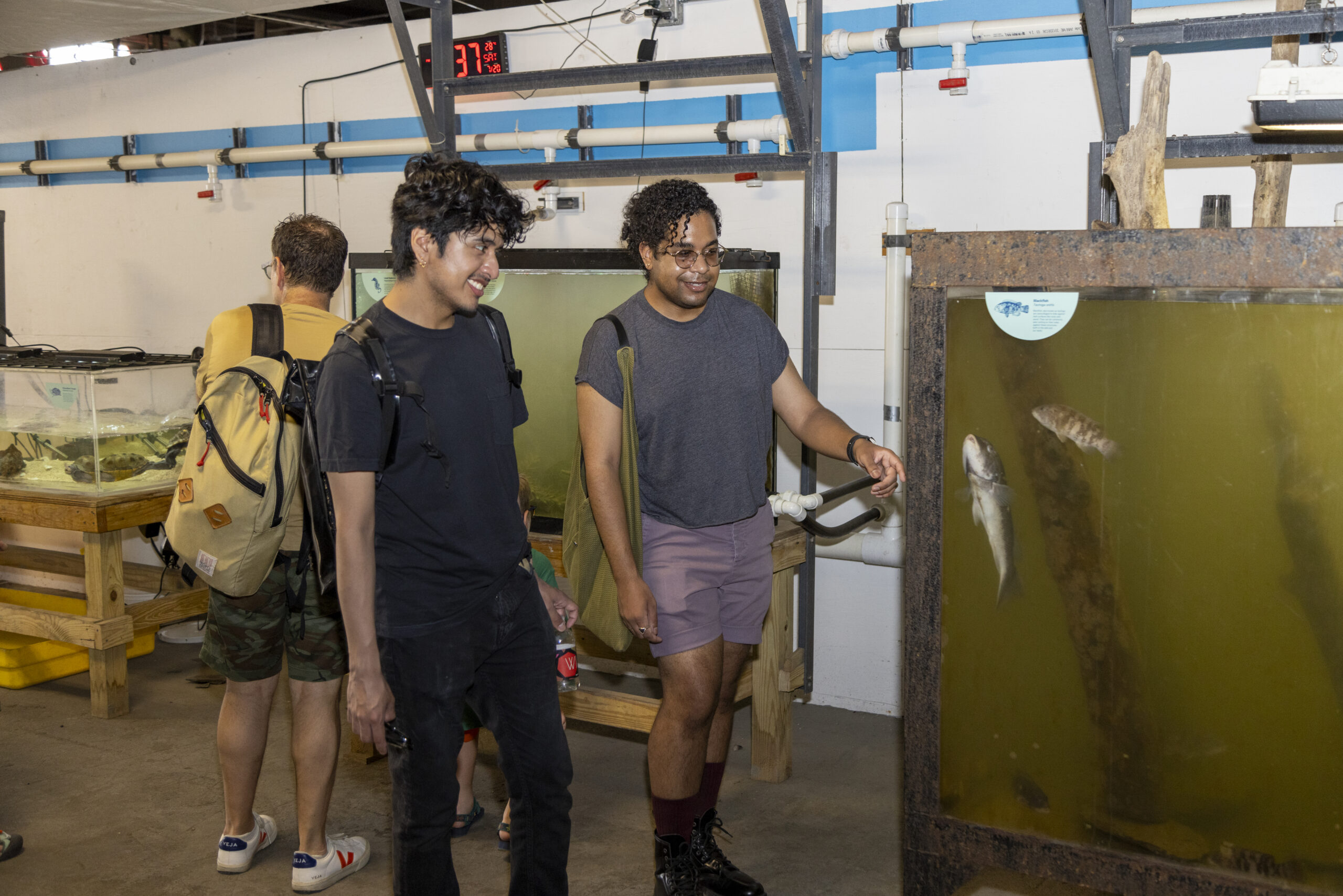 Park visitors look at Hudson River wildlife inside the aquarium tanks at the Pier 40 Wetlab