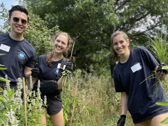 Blackstone volunteers