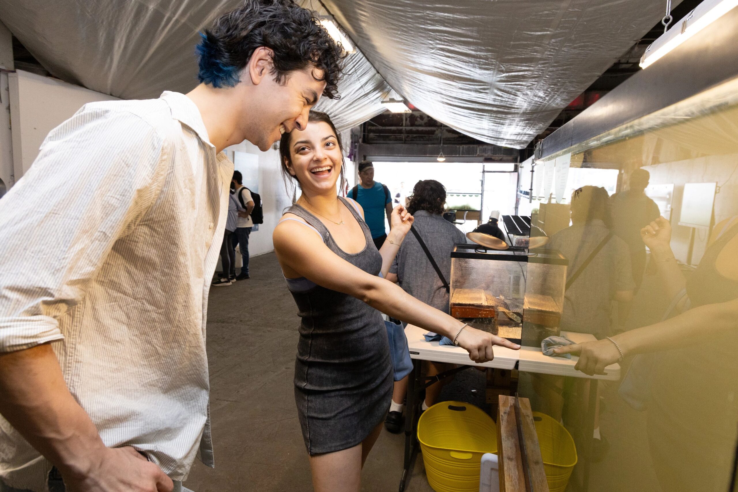 Two visitors to Hudson River Park's Pier 40 Wetlab look into an aquarium tank with Hudson River wildlife inside