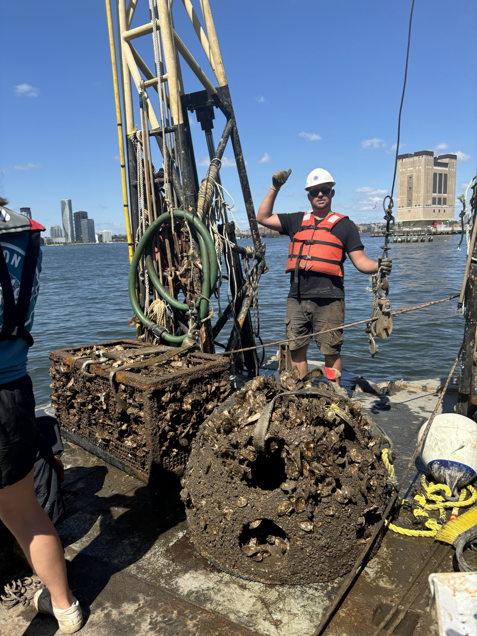 Researchers use a crane to pull a gabion and a reef ball out of the Hudson River