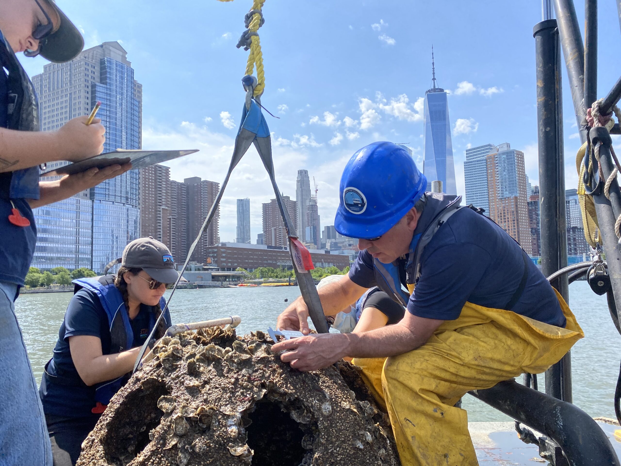 Researchers record observations about oysters found on a reef ball