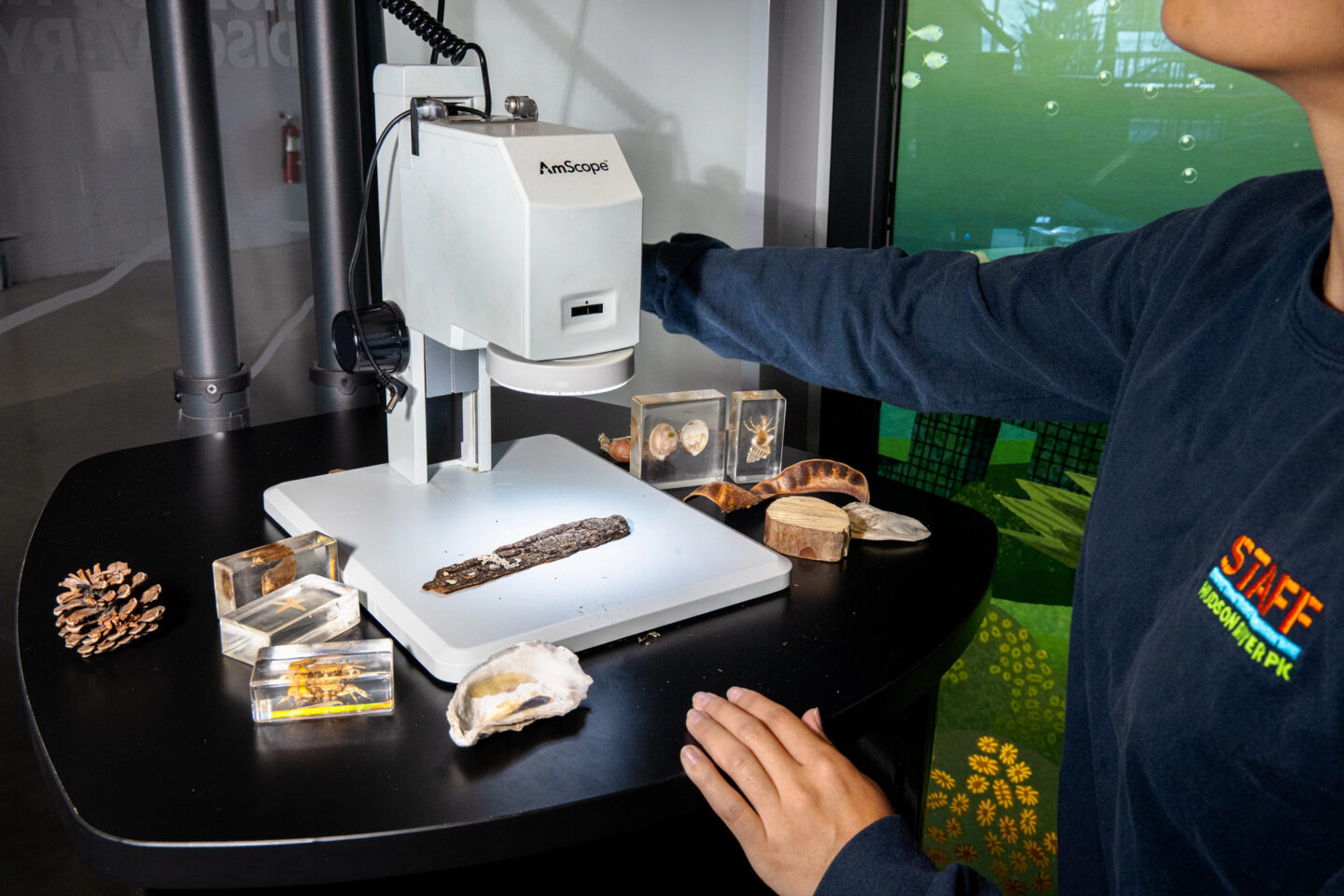 magnifying machine